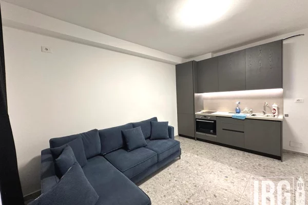 Apartment for rent in Tirana 1+1, Furnished
