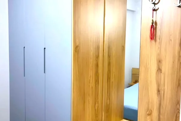 Shtepi ne shitje Apartament ne Tirane, 1+1, Mobilimi E mobiluar, Pagesa 109,000  Euro.