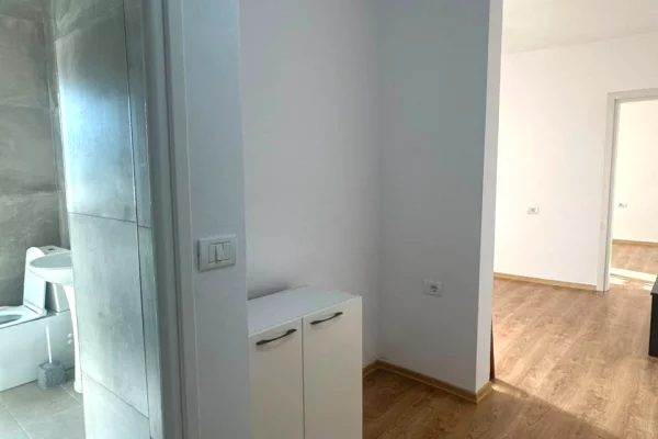 Jepet ambient biznesi me qira ne Qender , prane Ufo 