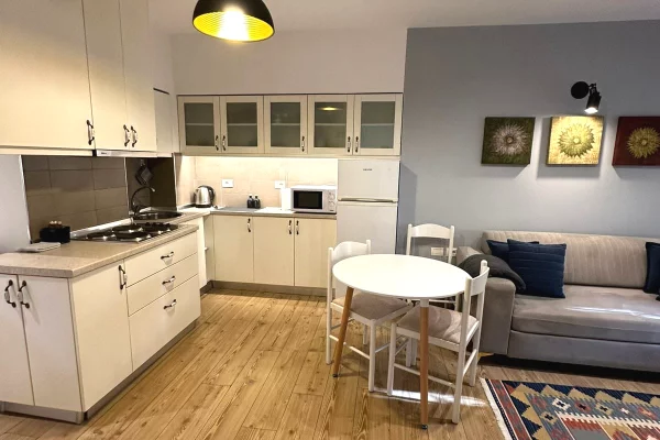 Shtepi me qera Apartament ne Tirane, 1+1, Mobilimi E mobiluar, Pagesa 60,000  Leke.