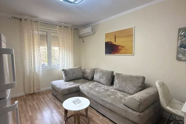 Shtepi me qera Apartament ne Tirane, 1+1, Mobilimi E mobiluar, Pagesa 50,000  Leke.