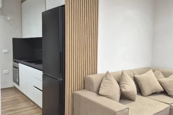 Shtepi me qera Apartament ne Tirane, 1+1, Mobilimi E mobiluar, Pagesa 55,000  Leke.