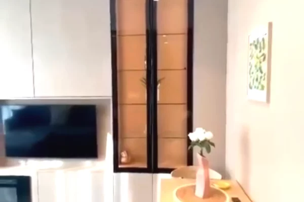 Shtepi ne shitje Apartament ne Tirane, 1+1, Mobilimi E mobiluar, Pagesa 160,000  Euro.