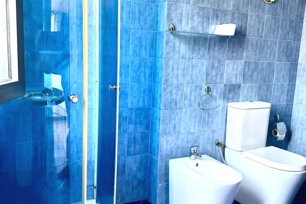 Shtepi ne shitje Apartament ne Tirane, 1+1, Mobilimi E mobiluar, Pagesa 12,500,000  Leke.