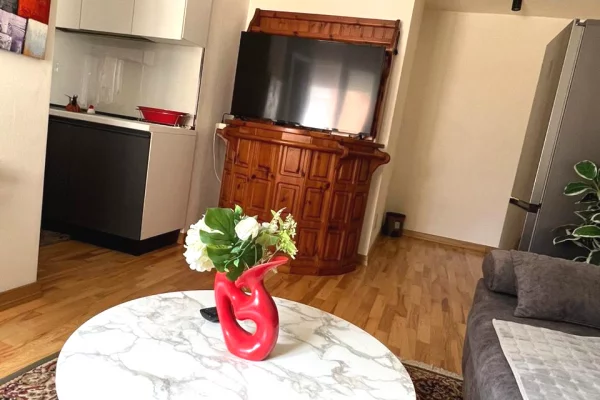 Shtepi me qera Apartament ne Tirane, 2+1, Mobilimi E mobiluar, Pagesa 1,000  Euro.