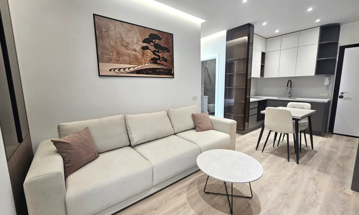 Shtepi me qera Apartament ne Tirane, 1+1, Mobilimi E mobiluar, Pagesa 1,000  Euro.