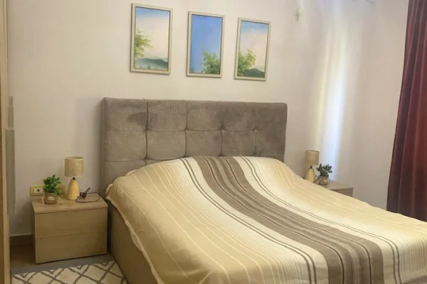 Shtepi me qera Apartament ne Tirane, 1+1, Mobilimi E mobiluar, Pagesa 50,000  Leke.