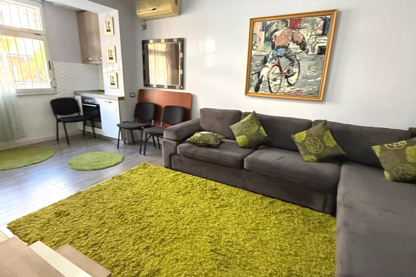Shtepi ne shitje Apartament ne Tirane, Garsoniere, Mobilimi E mobiluar, Pagesa 125,000  Euro.