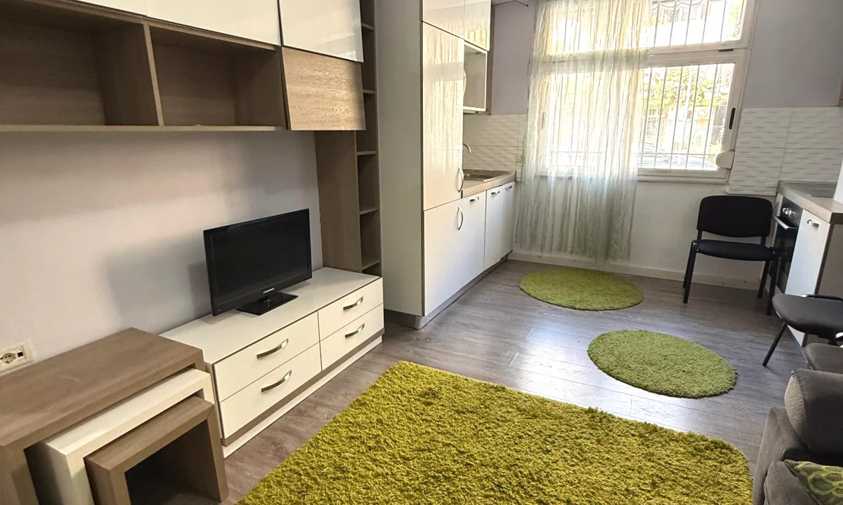 Shtepi ne shitje Apartament ne Tirane, Garsoniere, Mobilimi E mobiluar, Pagesa 125,000  Euro.