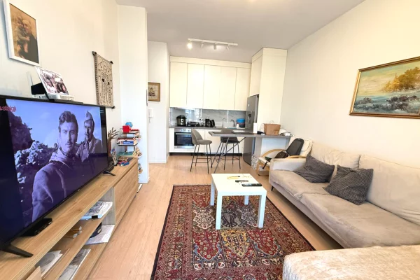 Shtepi me qera Apartament ne Tirane, 1+1, Mobilimi E mobiluar, Pagesa 600  Euro.