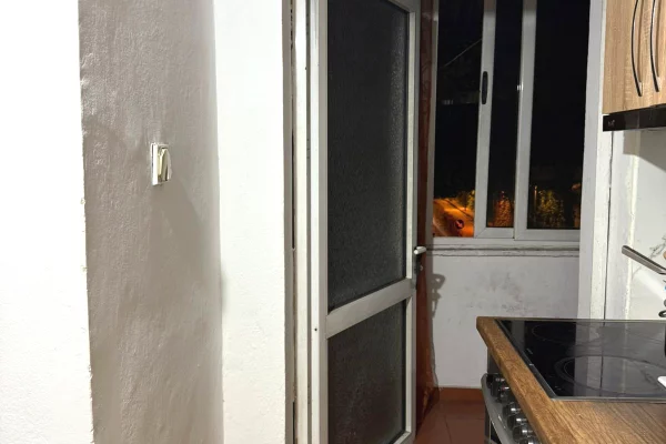 Shtepi me qera Apartament ne Tirane, 1+1, Mobilimi E mobiluar, Pagesa 55,000  Leke.