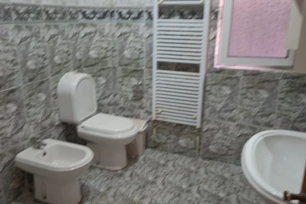 Shtepi me qera Apartament ne Tirane, 2+1, Mobilimi E mobiluar, Pagesa 65,000  Leke.