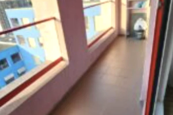 Shtepi ne shitje Apartament ne Tirane, 1+1, Mobilimi E mobiluar, Pagesa 135,000  Euro.