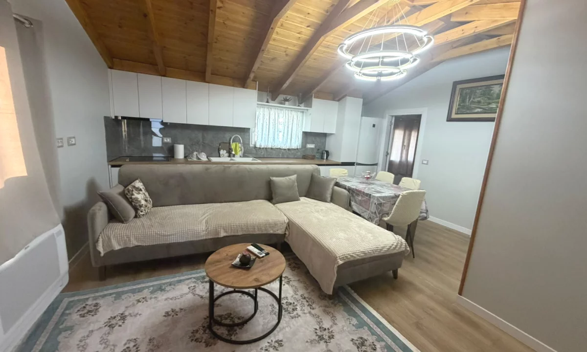 Shtepi me qera Apartament ne Tirane, 1+1, Mobilimi E mobiluar, Pagesa 50,000  Leke.