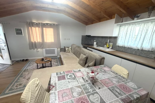 Shtepi me qera Apartament ne Tirane, 1+1, Mobilimi E mobiluar, Pagesa 50,000  Leke.