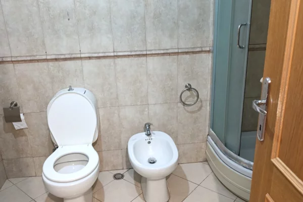Shtepi me qera Apartament ne Tirane, 1+1, Mobilimi E mobiluar, Pagesa 55,000  Leke.