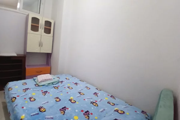 Shtepi me qera Apartament ne Tirane, 3+1, Mobilimi E mobiluar, Pagesa 60,000  Leke.