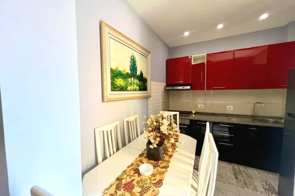 Shtepi me qera Apartament ne Tirane, 1+1, Mobilimi E mobiluar, Pagesa 500  Euro.