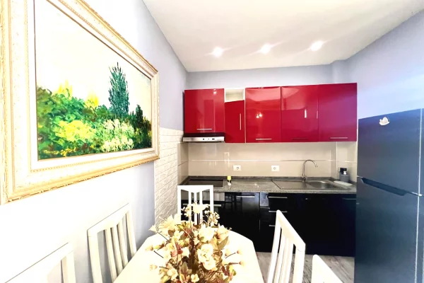Shtepi me qera Apartament ne Tirane, 1+1, Mobilimi E mobiluar, Pagesa 500  Euro.
