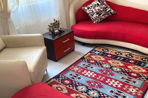 Shtepi me qera Apartament ne Tirane, 1+1, Mobilimi E mobiluar, Pagesa 40,000  Leke.
