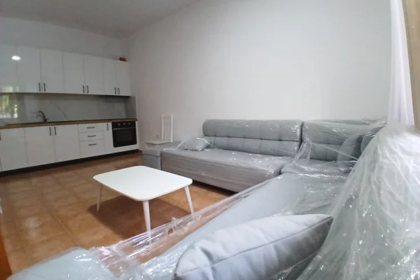 Shtepi me qera Apartament ne Tirane, 1+1, Mobilimi E mobiluar, Pagesa 450  Euro.