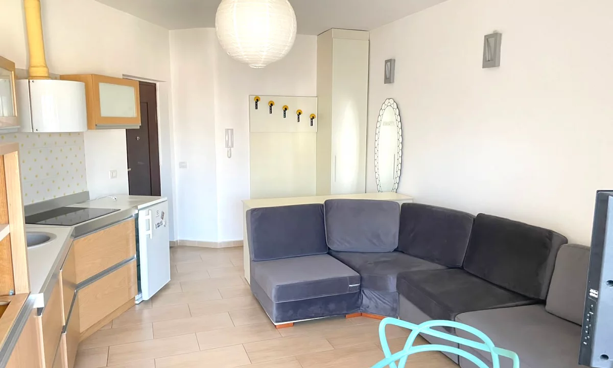 Shtepi me qera Apartament ne Tirane, 1+1, Mobilimi E mobiluar, Pagesa 60,000  Leke.