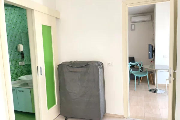 Shtepi me qera Apartament ne Tirane, 1+1, Mobilimi E mobiluar, Pagesa 60,000  Leke.