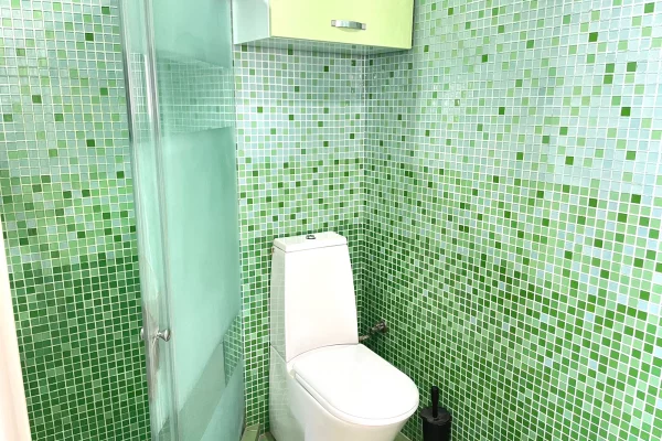 Shtepi me qera Apartament ne Tirane, 1+1, Mobilimi E mobiluar, Pagesa 60,000  Leke.