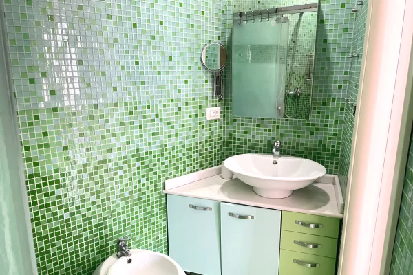 Shtepi me qera Apartament ne Tirane, 1+1, Mobilimi E mobiluar, Pagesa 60,000  Leke.