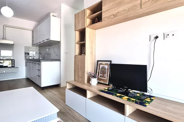 House for Rent Apartment in Tirana, 1+1, Furniture Furnished, Payment 50,000  Leke.