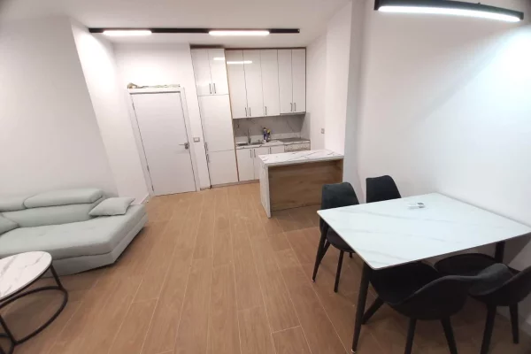 House for Rent Apartment in Tirana, 2+1, Furniture Furnished, Payment 55,000  Leke.