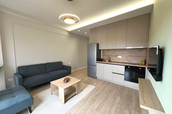 Shtepi me qera Apartament ne Tirane, 1+1, Mobilimi E mobiluar, Pagesa 50,000  Leke.