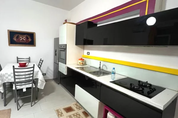 Shtepi me qera Apartament ne Tirane, 1+1, Mobilimi E mobiluar, Pagesa 50,000  Leke.