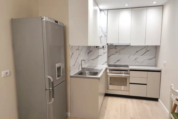House for Rent Apartment in Tirana, 1+1, Furniture Furnished, Payment 47,000  Leke.