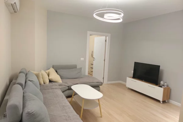 House for Rent Apartment in Tirana, 1+1, Furniture Furnished, Payment 47,000  Leke.