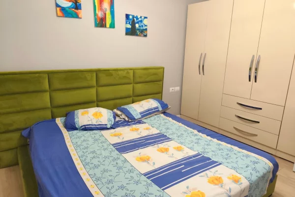 House for Rent Apartment in Tirana, 1+1, Furniture Furnished, Payment 47,000  Leke.