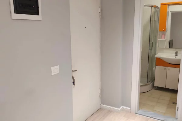 House for Rent Apartment in Tirana, 1+1, Furniture Furnished, Payment 47,000  Leke.
