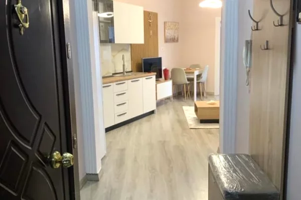 Shtepi me qera Apartament ne Tirane, 2+1, Mobilimi E mobiluar, Pagesa 60,000  Leke.