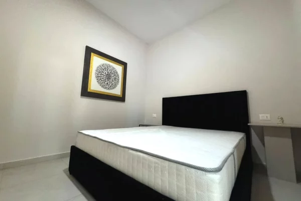 House for Sale Apartment in Tirana, 1+1, Furniture Furnished, Payment 14,000,000  Leke.