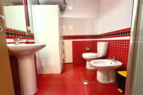 Shtepi me qera Apartament ne Tirane, 1+1, Mobilimi E mobiluar, Pagesa 55,000  Leke.