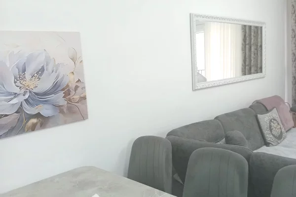Shtepi me qera Apartament ne Tirane, 3+1, Mobilimi E mobiluar, Pagesa 50,000  Leke.