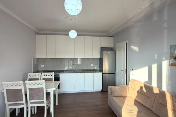 Shtepi me qera Apartament ne Tirane, 1+1, Mobilimi E mobiluar, Pagesa 50,000  Leke.