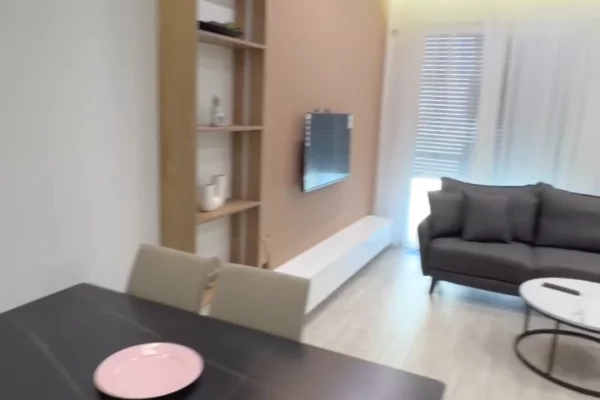 Shtepi me qera Apartament ne Tirane, 1+1, Mobilimi E mobiluar, Pagesa 80,000  Leke.