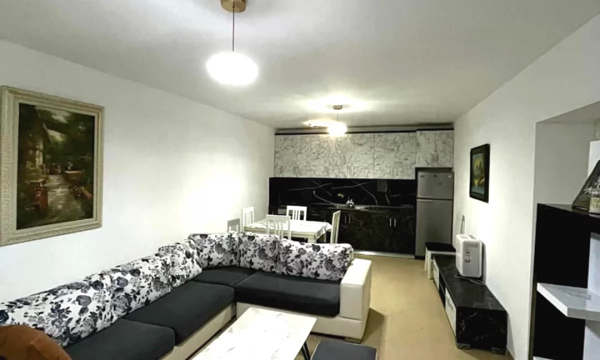 Shtepi ne shitje Apartament ne Tirane, 1+1, Mobilimi E mobiluar, Pagesa 99,000  Euro.