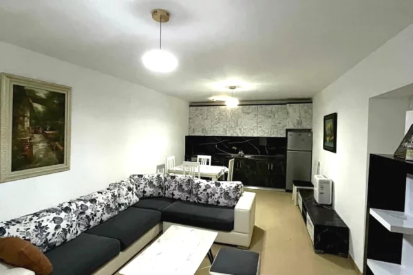 Shtepi ne shitje 1+1 ne Tirane - 99,000 Euro