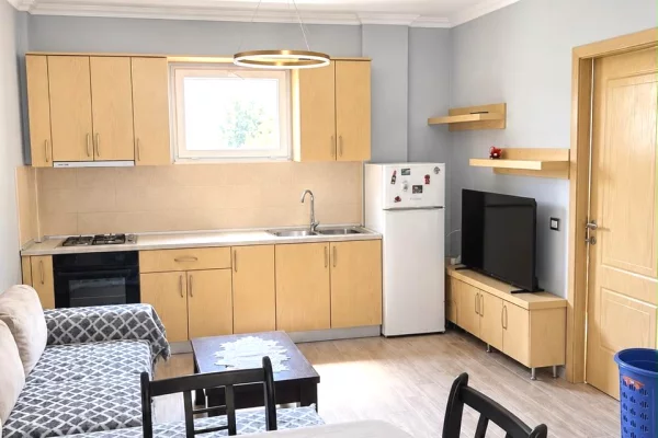 Shtepi me qera Apartament ne Tirane, 2+1, Mobilimi E mobiluar, Pagesa 60,000  Leke.