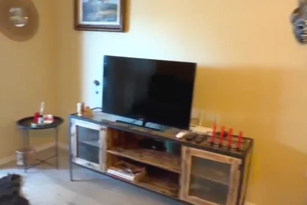Shtepi me qera Apartament ne Tirane, 1+1, Mobilimi E mobiluar, Pagesa 67,000  Leke.
