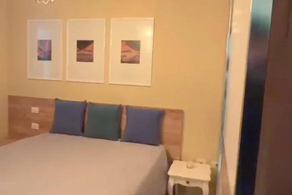 Shtepi me qera Apartament ne Tirane, 1+1, Mobilimi E mobiluar, Pagesa 67,000  Leke.