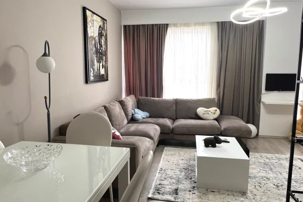 Shtepi me qera Apartament ne Tirane, 1+1, Mobilimi E mobiluar, Pagesa 600  Euro.