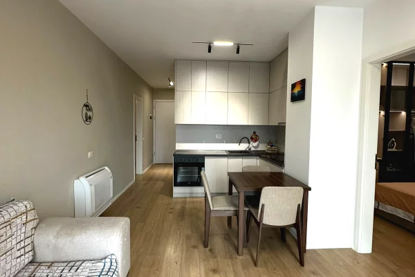 Shtepi me qera Apartament ne Tirane, 1+1, Mobilimi E mobiluar, Pagesa 65,000  Leke.